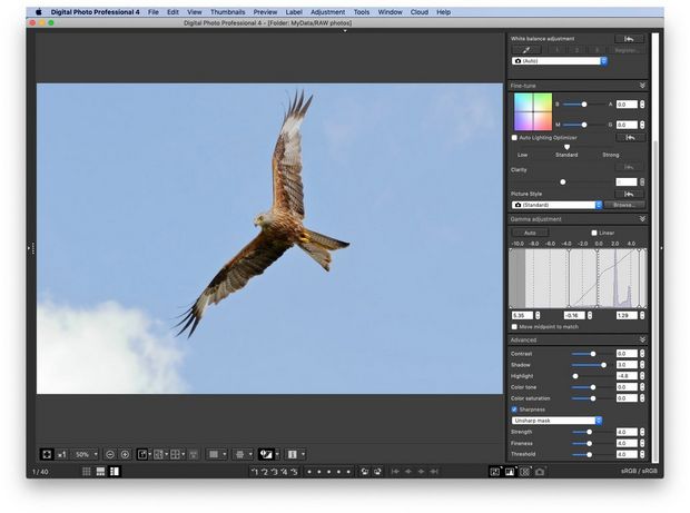 An eagle pictured in flight, in a brighter, edited image using DPP.