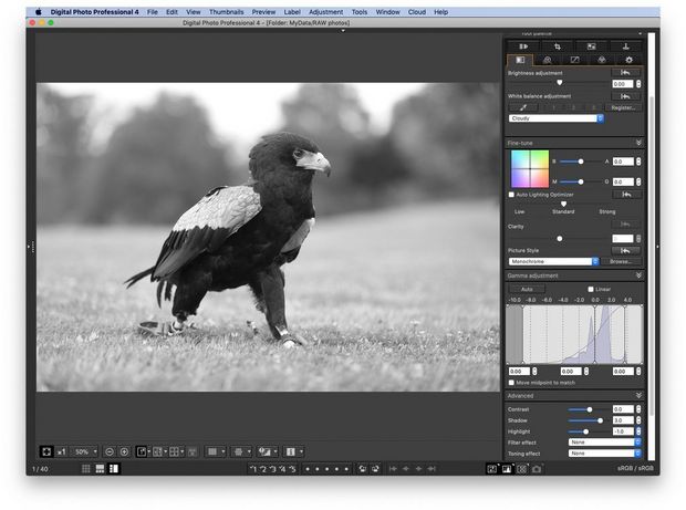 how to update canon digital photo professional