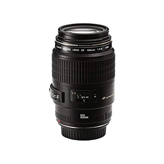 EF 100mm f/2.8 Macro USM