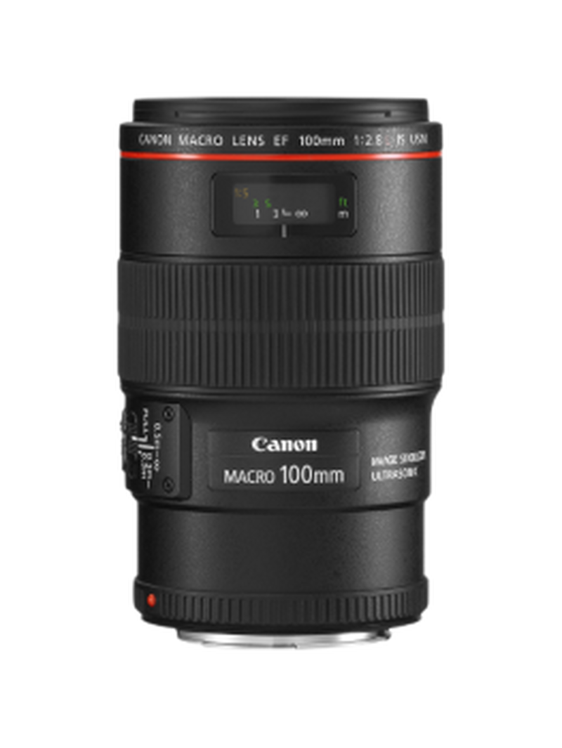 Canon EF 100mm f/2.8L Macro IS USM - Lenses - Camera & Photo ...