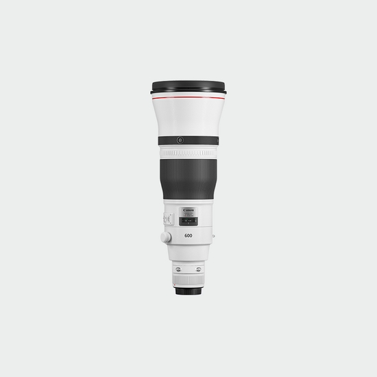EF 600mm f/4L IS III