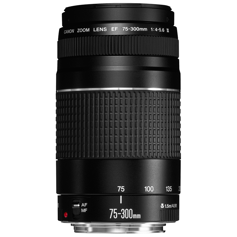 SALE人気CANON ZOOM LENS EF 75-300mm 1:4-5.6 IS美品 レンズ(ズーム)