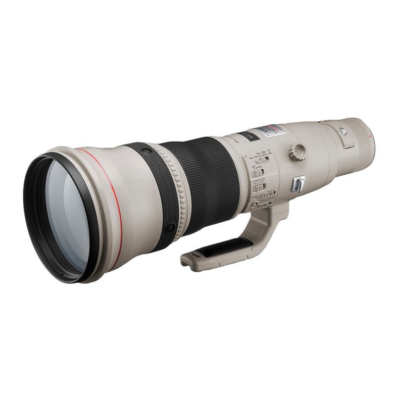 Canon EF 800mm f/5.6L IS USM - Objektive – Kamera- & Foto 