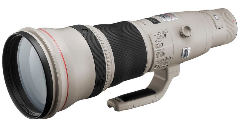 The Canon EF 800mm f/5.6L USM lens.