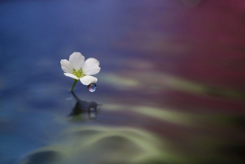 Die optimale Belichtung erreichen