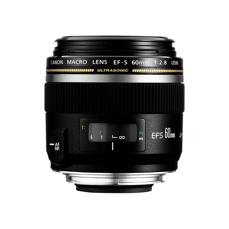 Canon EF-S 60mm f/2.8 Macro USM - Lenses - Camera u0026 Photo lenses - Canon  Central and North Africa