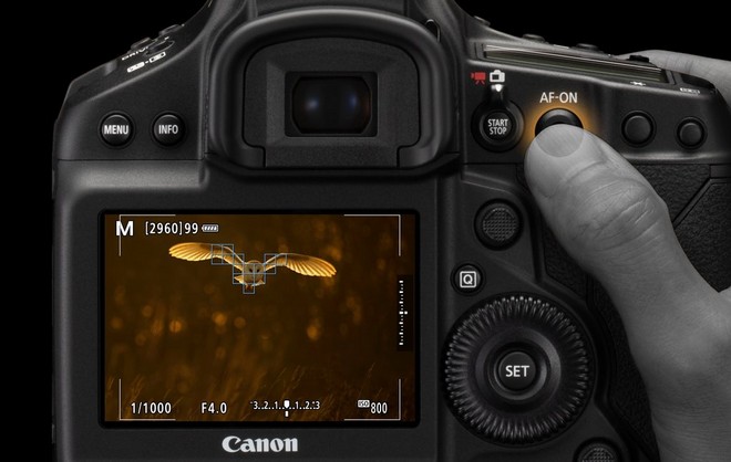 Палец нажимает кнопку AF-ON на задней панели камеры Canon EOS-1D X Mark III, и на изображении на заднем экране показана фокусировка камеры на летящей птице.
