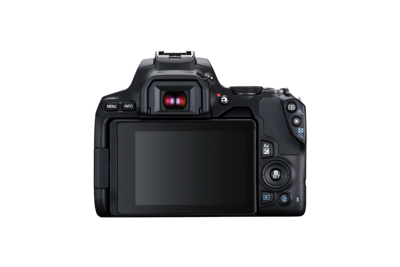 Canon EOS 250D - Cameras - Canon Middle East