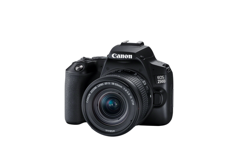 Canon 250D: ¿Vale realmente la pena la cámara? - SKYES Media