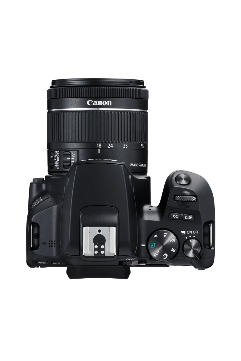 Canon EOS 250D - Cameras - Canon Middle East