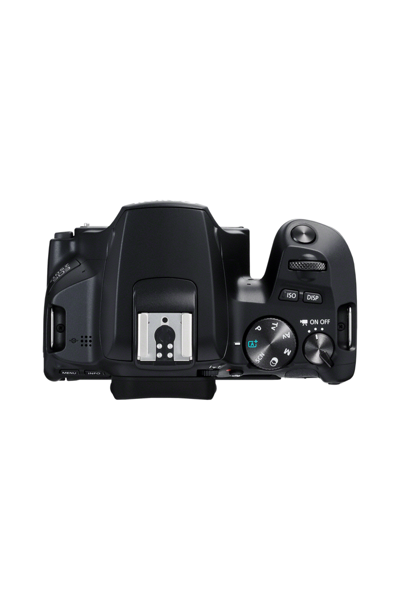 Canon EOS 250D: anunciada oficialmente con un precio de 690 euros