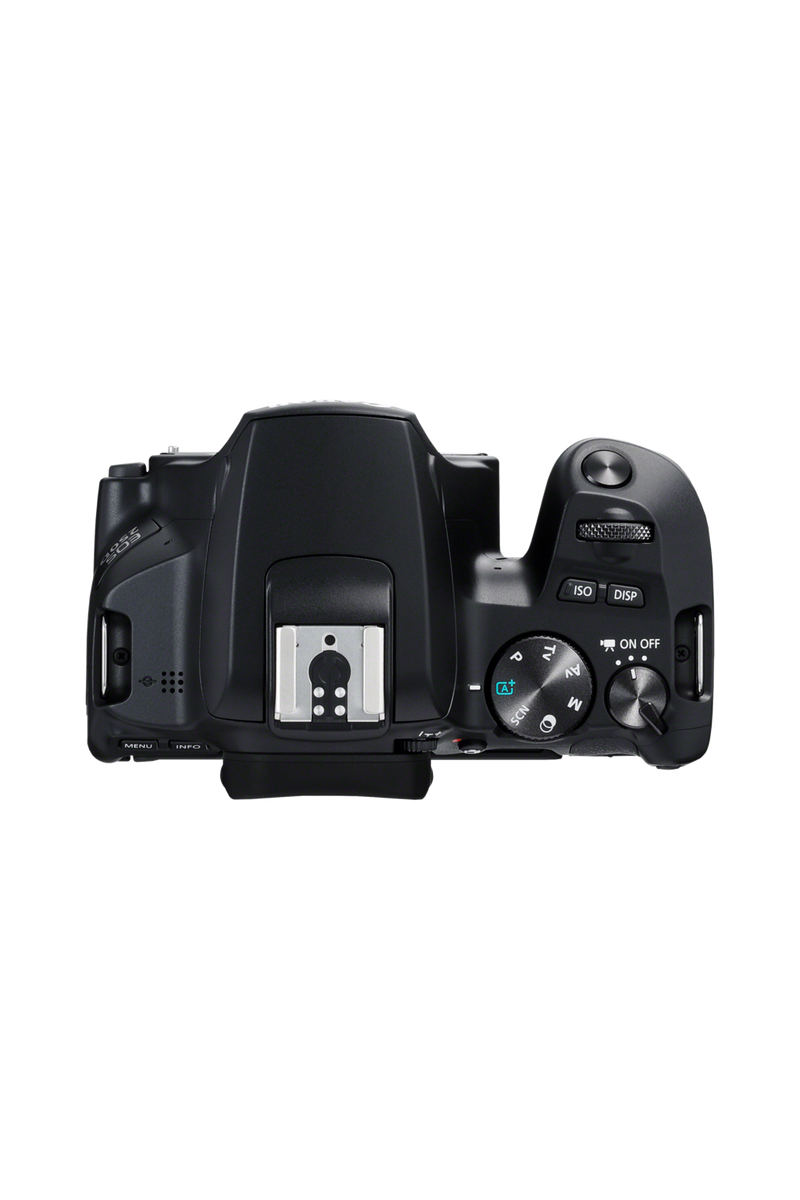 Canon EOS 250D desde 549,00 €, Febrero 2024