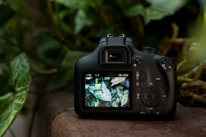 Canon EOS 4000D Appareil photo numérique Reflex 18.0 MP APS-C