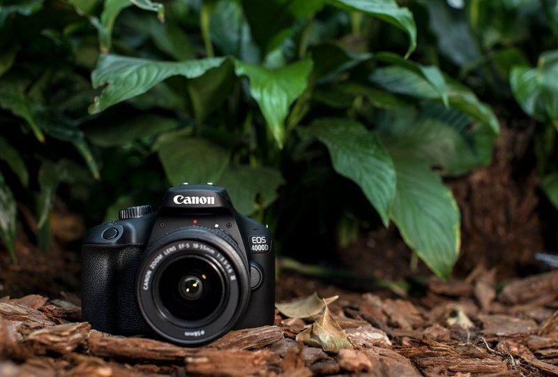Với chất lượng ảnh tuyệt vời và thiết kế tinh tế, Canon EOS 4000D sẽ không làm bạn thất vọng. Giờ đây, bạn có thể trang bị cho mình một chiếc máy ảnh tuyệt vời từ Canon. Nhấn vào hình ảnh để tìm hiểu thêm về sản phẩm này và những đặc điểm nổi bật.