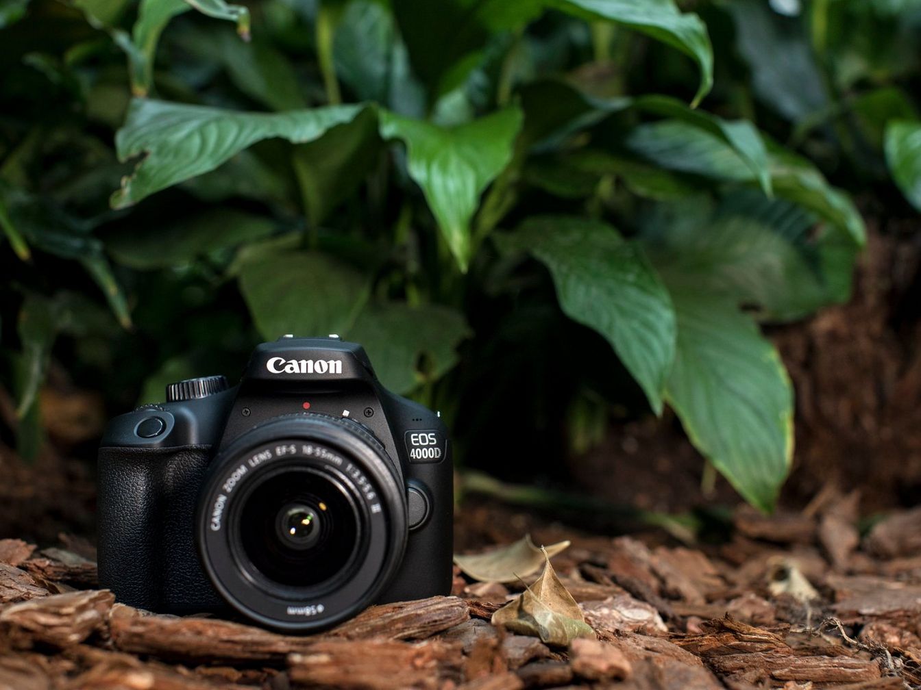 krant smal vallei Canon EOS 4000D - Cameras - Canon Cyprus