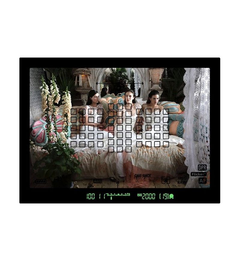 Viewfinder focus area of Canon EOS 5D Mark IV