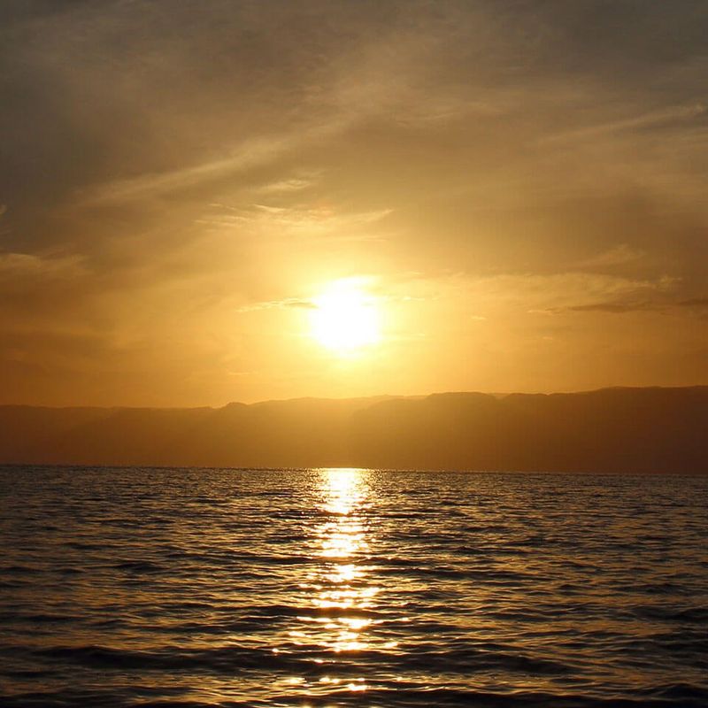 Scene Intelligent Auto