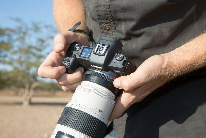 Fotocasión: CUERPO CANON EOS R6 MARK II + ADAPTADOR CANON EF-EOS R