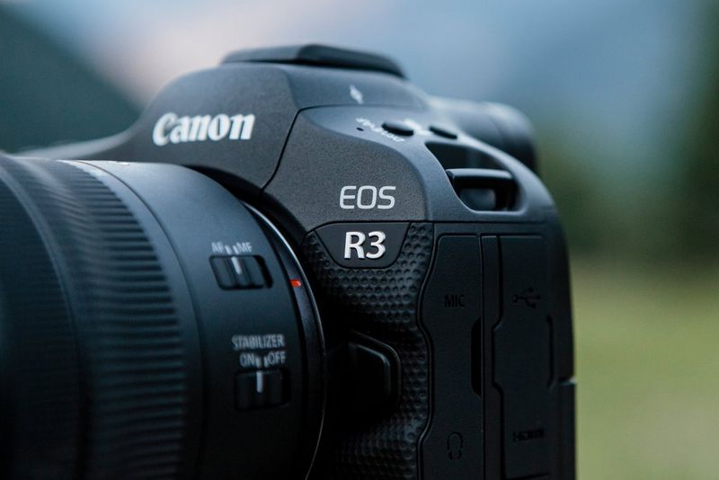 Примеры снимков на Canon EOS R8 PHOTAR Дзен