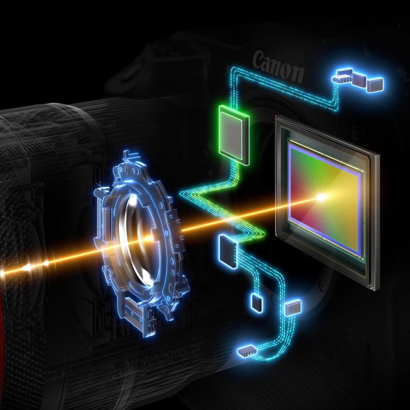 Cross-section showing the autofocus system inside a Canon EOS R3 camera and RF lens.