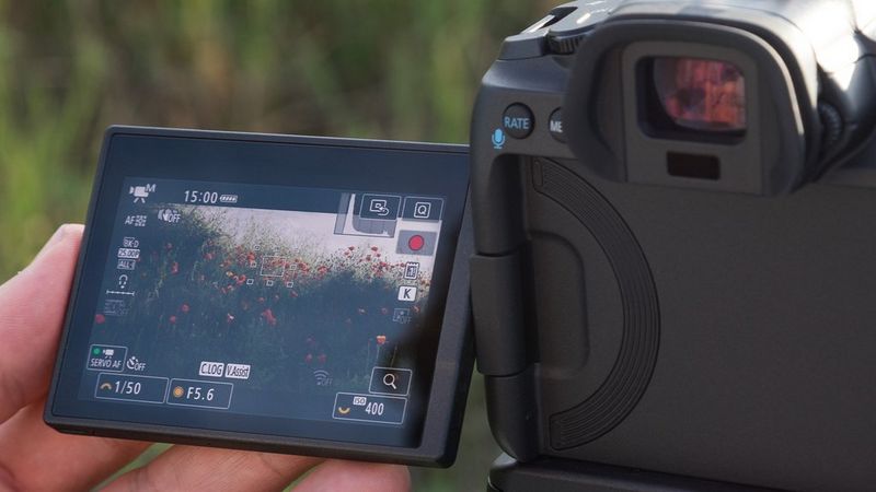 A close-up of an LCD screen on the back of the EOS R5 with a video of field of poppy flowers.