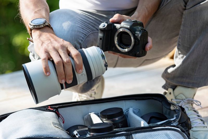 Interchangeable Lens Cameras 