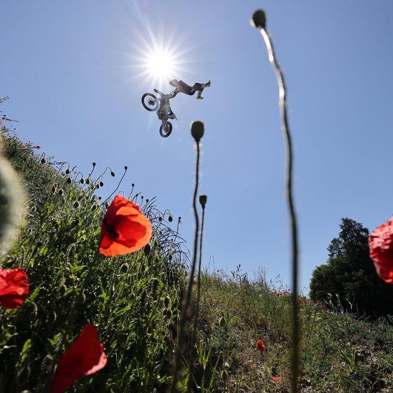 A mountain biker performs a mid-air stunt against the sun. The image is shot from below and framed by red poppies and grasses on the hillside.