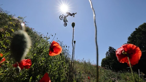 Biciklist s brdskim biciklom izvodi vratolomiju u zraku okrenut prema suncu. Slika je snimljena odostraga i uokvirena crvenim makovima i travom s brežuljka 