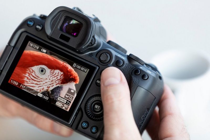 Cámara DSLR o Réflex: qué son y cuáles son su ventajas y