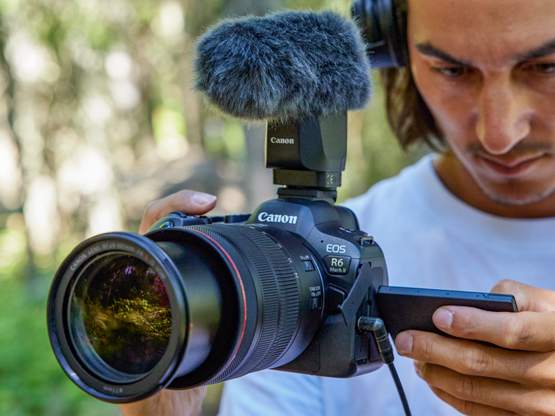 Canon Professional EOS R6 Mirrorless DSLR Camera