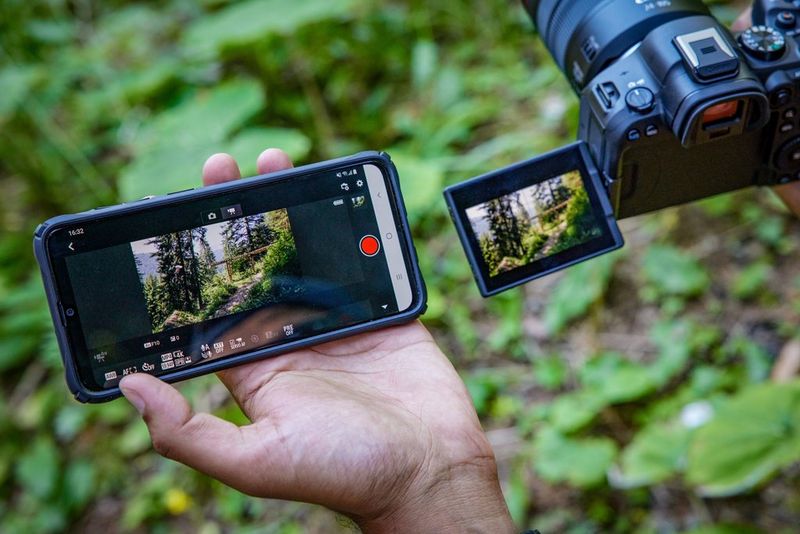 Смартфон, на котором в приложении Canon Camera Connect отображается та же сцена в лесу, что и на сенсорном экране с регулируемом углом поворота камеры Canon EOS R6 Mark II.