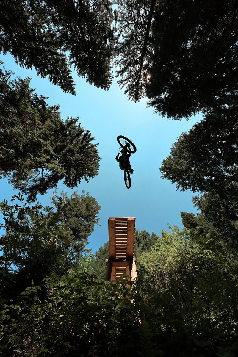Shot from below, an image taken on a Canon EOS R6 Mark II of a mountain biker silhouetted against a clear blue sky as they leap from a jump surrounded by trees.