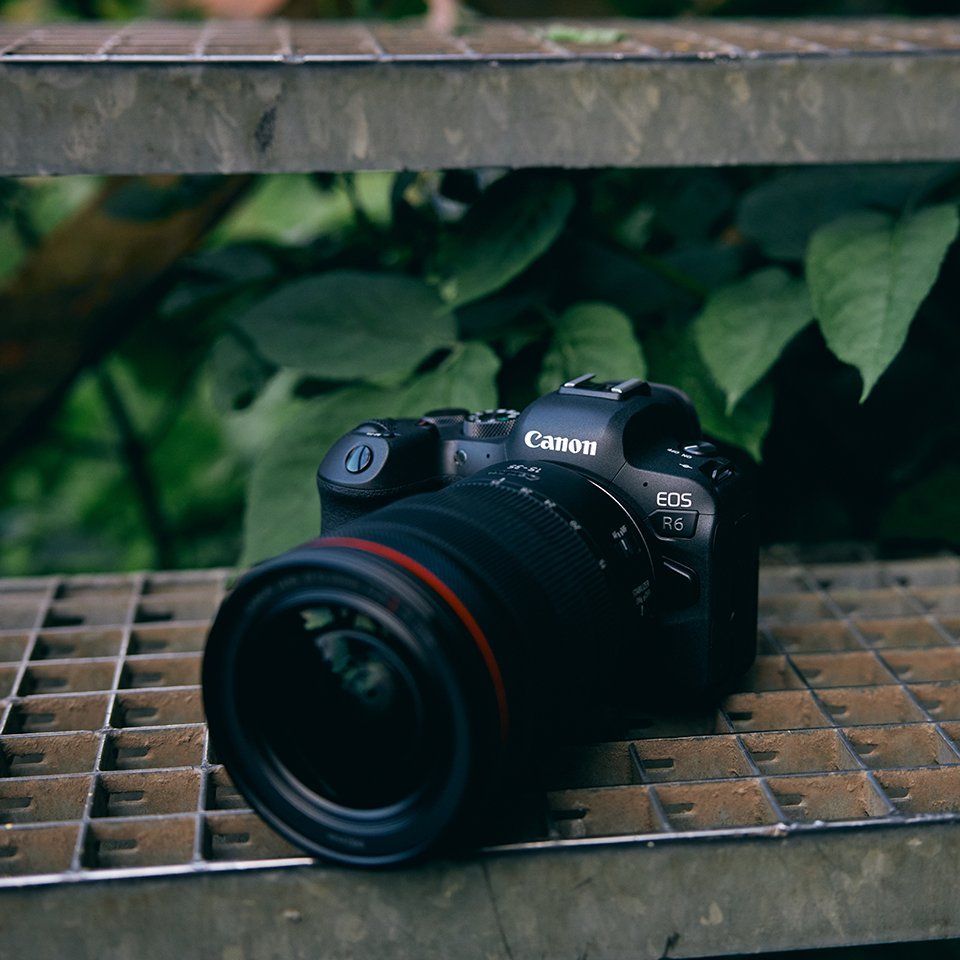 EOS R6