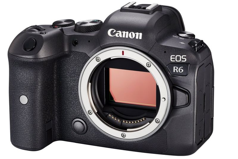 A Canon EOS R6 camera with no lens attached, so that the full-frame sensor is visible.
