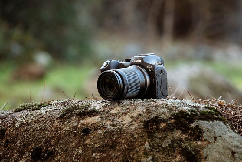 Is the Canon M50 a good camera for wildlife photography?