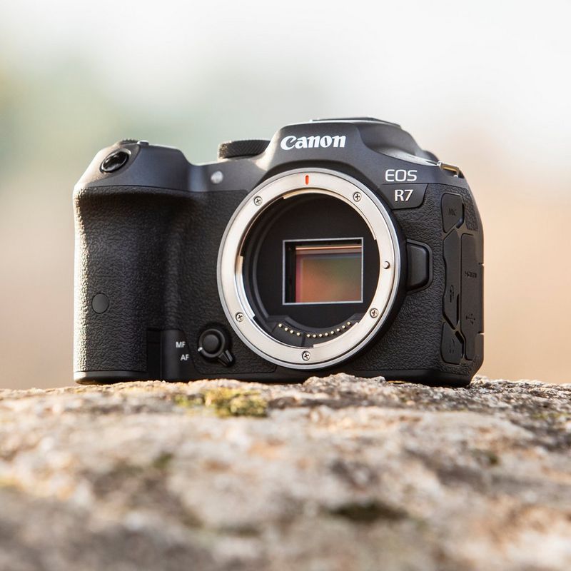 dslr camera versus mirrorless