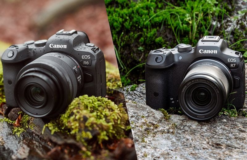 A split image showing a Canon EOS R6 on a large mossy rock and a Canon EOS R7 also sitting on a rock.