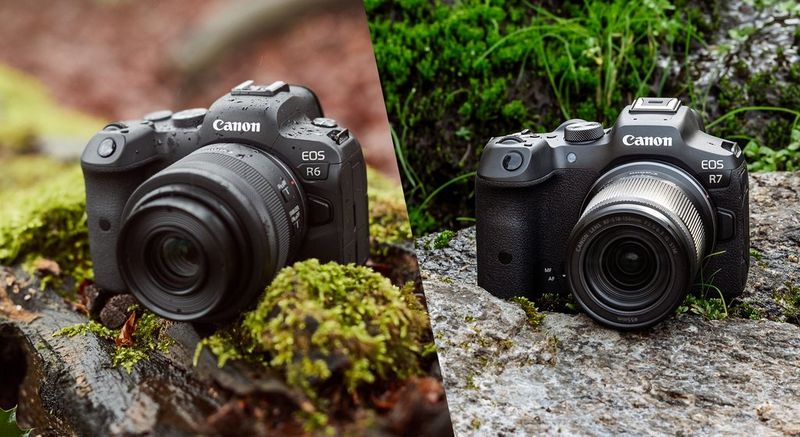 EOS R50 vs EOS R10 - Canon Ireland