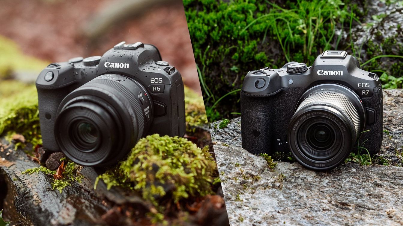 achtergrond samenwerken Brutaal APS-C vs full-frame - Canon Europe