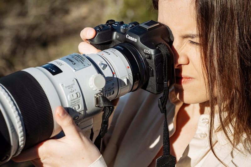Une personne regardant à travers le viseur d'un Canon EOS R7 équipé d'un objectif 300mm.