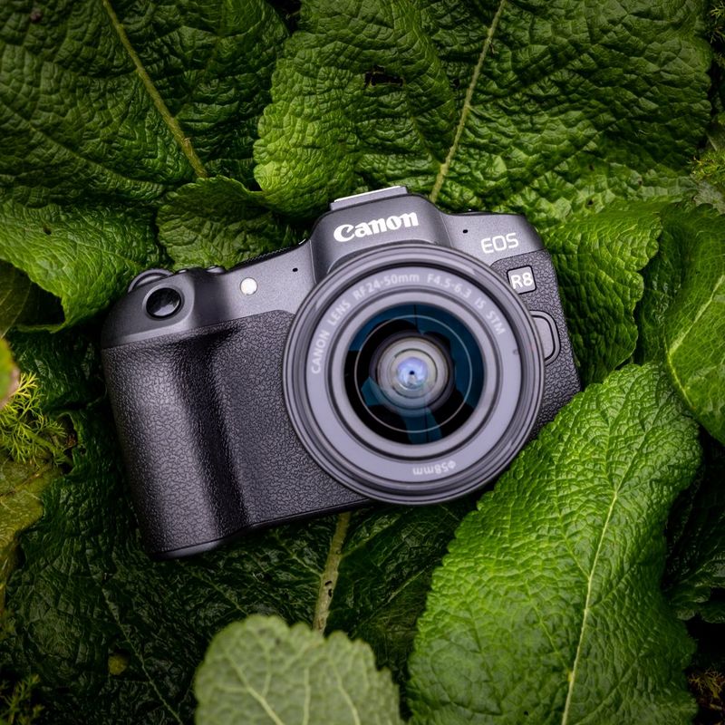 A Canon EOS R8 sitting on green leaves rich in colour and captured from above.