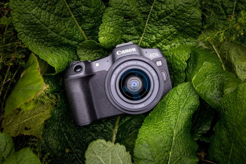 Una cámara EOS R8 de Canon sobre unas hojas verdes muy coloridas, capturada desde arriba.
