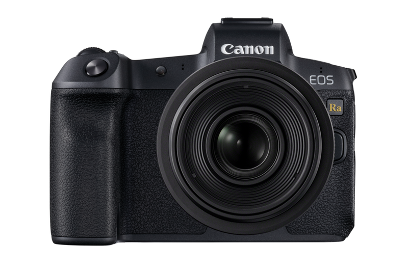 Canon EOS RP hands on: first shoot with the compact full-frame mirrorless  camera - Canon Central and North Africa