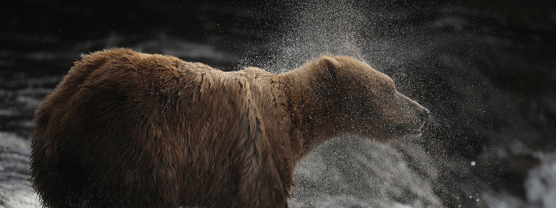 A nossa gama de câmaras EOS Canon Portugal