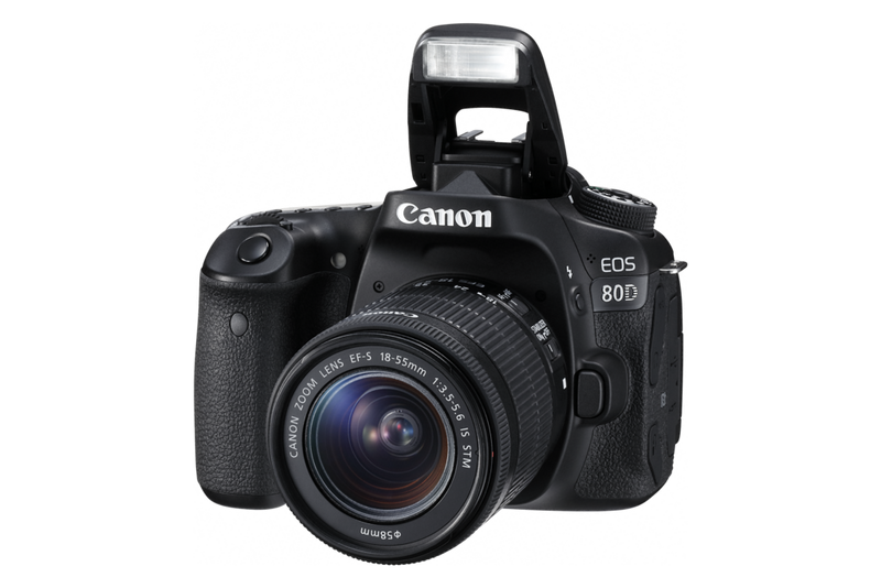 Camara Canon Eos 80d  Camaras fotograficas profesionales canon, Camara  canon, Camara fotografica digital