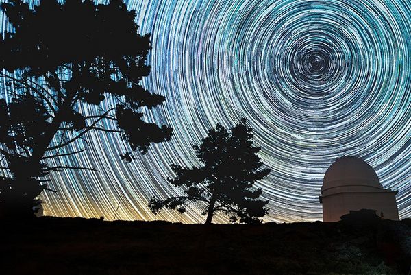 A circular star trail about a silhouetted line of trees.