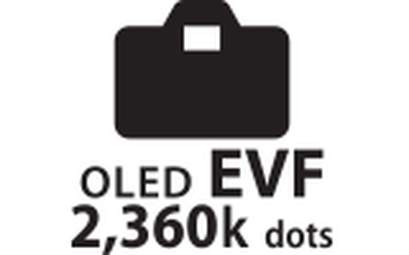 EVF