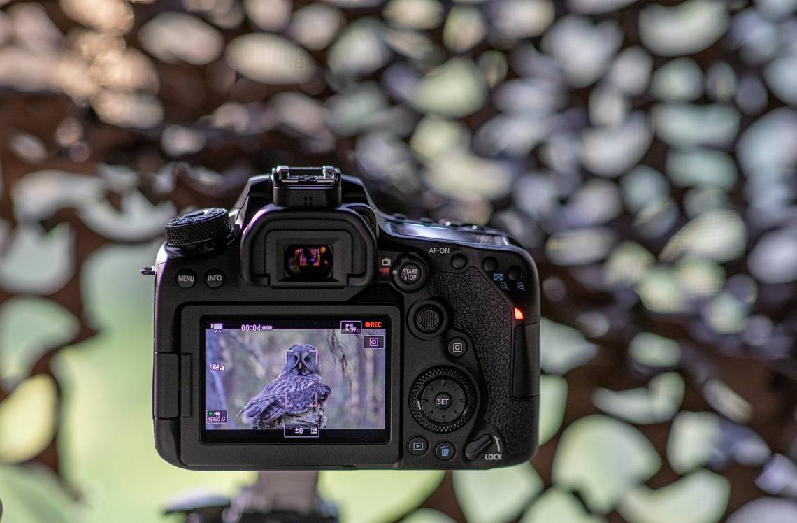 canon eos 90d yuksek kaliteli 4k video