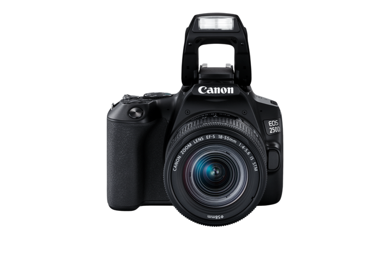 EOS 250D - Some moments deserve a Canon - Canon Europe