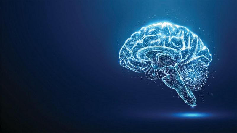 Um fundo escuro com uma ilustração em branco e azul brilhante da vista lateral de um cérebro iluminado.